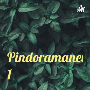 Pindoramanews 1