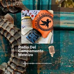 Radio Del Campamento Mestizo