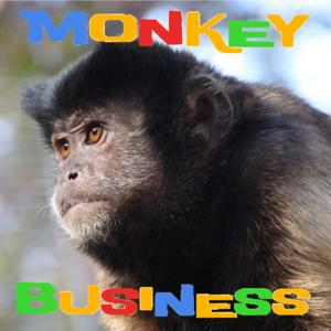 Monkey Business Podcast