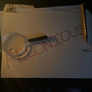 Felonious Files