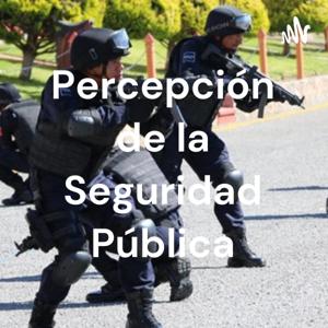 Percepción de la Seguridad Pública