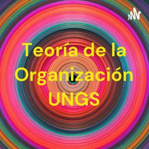 Debates y autores sobre Teoría de las Organizaciones (Híbridas, Sociales, Privadas, Públicas)