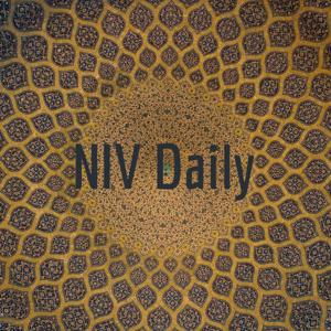 NIV Daily