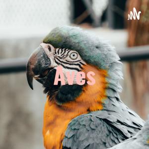 Aves - Biologia