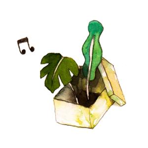 盒子Radio
