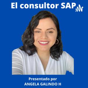 El Consultor SAP