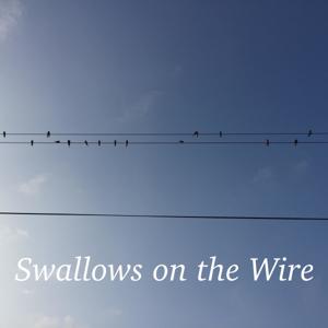 Swallows on the Wire