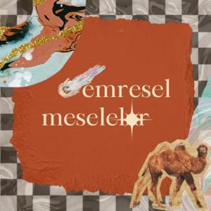 emresel meseleler