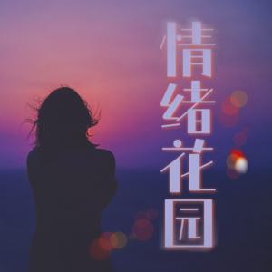 情绪花园|谈谈的生活笔记 轻松 治愈 情感 夜听