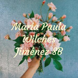 María Paula Wilches Jiménez 8B