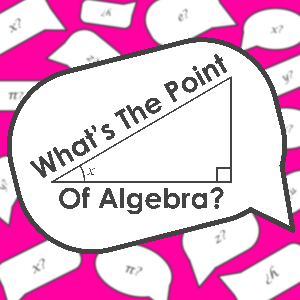 What's the Point of Algebra?