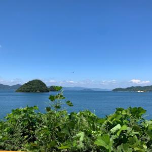 Suo Oshima News Delivery