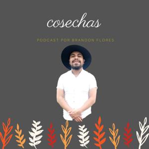 Cosechas