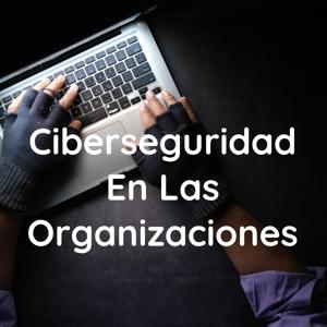 Ciberseguridad En Las Organizaciones
