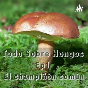 Todo Sobre Hongos | Ep1 | El champiñón común