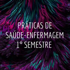 PRÁTICAS DE SAÚDE-ENFERMAGEM 1° SEMESTRE