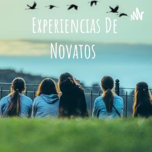 Experiencias De Novatos