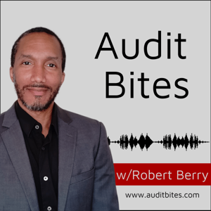 Audit Bites by Robert Berry
