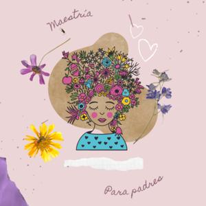 Maestría someday