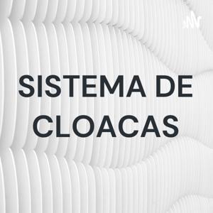 SISTEMA DE CLOACAS