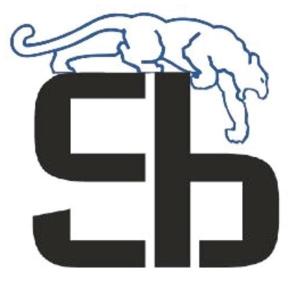 Sports Bros Podcast