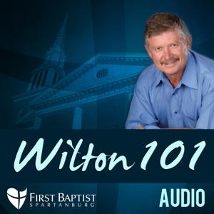 Wilton 101