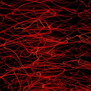 Walking Around Portchester