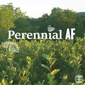 Perennial AF by Savanna Institute