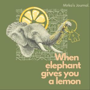 When Elephant Gives You A Lemon