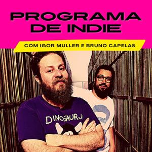 Programa de Indie