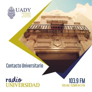 CONTACTO UNIVERSITARIO UADY
