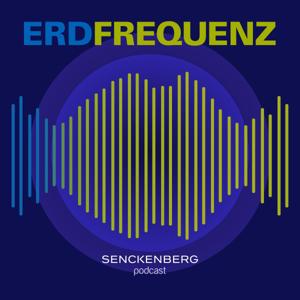 Erdfrequenz