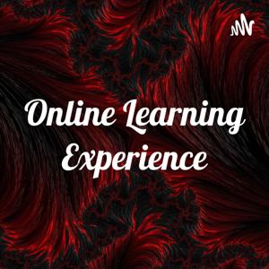 Online Learning Experience