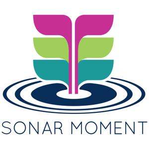 Sonar Moment - Reflections on leadership from CEOs in the Pacific Northwest