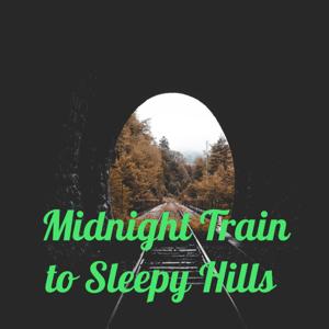 Midnight Train to Sleepy Hills