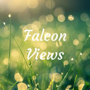 Falcon Views