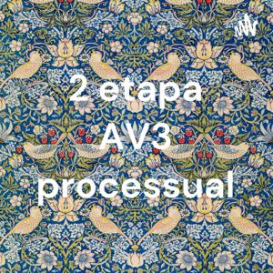 2 etapa AV3 processual