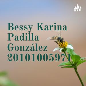 Bessy Karina Padilla González 20101005971