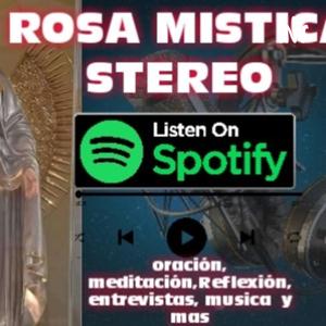 ROSA MISTICA STEREO