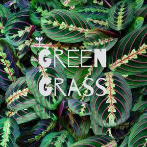 Green Grass by Wendy Grelampoko