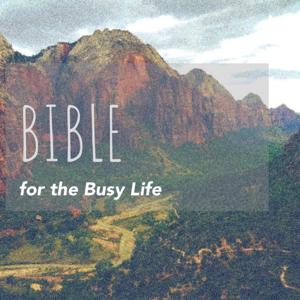 Bible for the Busy Life