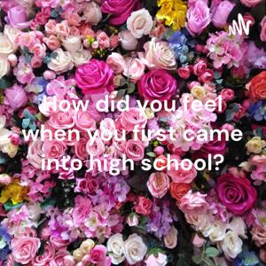 How did you feel when you first came into high school?