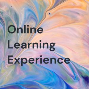 Online Learning Experience