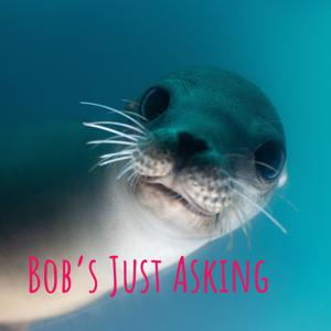 Bob's Just Asking