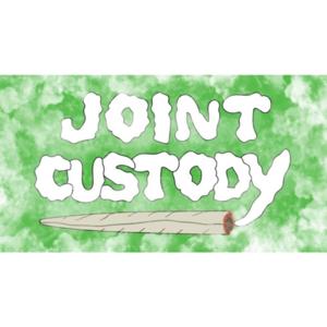 Joint Custody