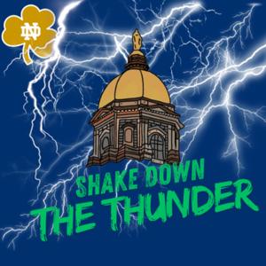 Shake Down The Thunder