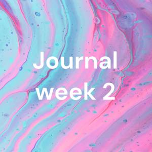 Journal week 2