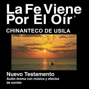 Chinanteco de Usila Biblia - Chinanteco de Usila Bible