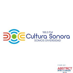 Cultura sonora, somos diversidad.