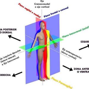 FISIOTERAPIA VAL